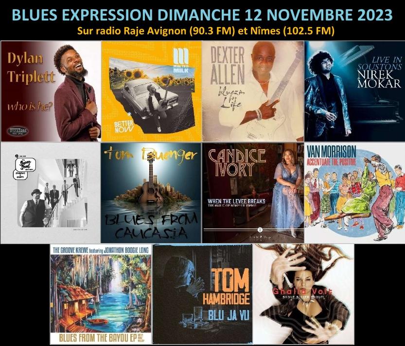 Blues Expression Novembre 2023 : Agenda et les meilleurs titres par Sylvie Declas